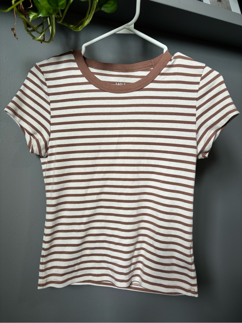 American Eagle Outfitters Brown and White Striped Short Sleeve Tee